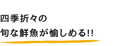 四季折々の旬な鮮魚が愉しめる!!